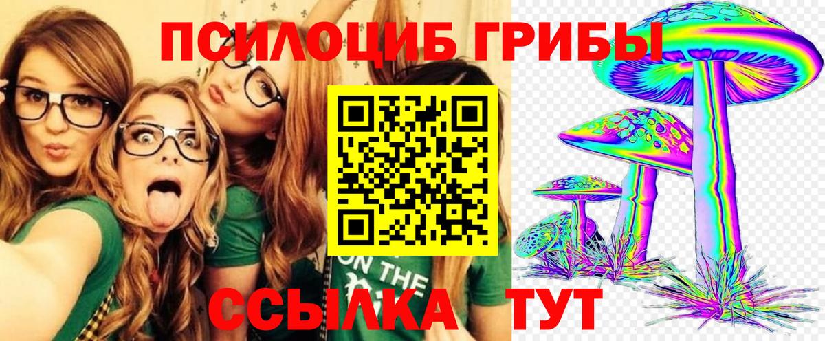 Галлюциногенные грибы мухоморы Маркс