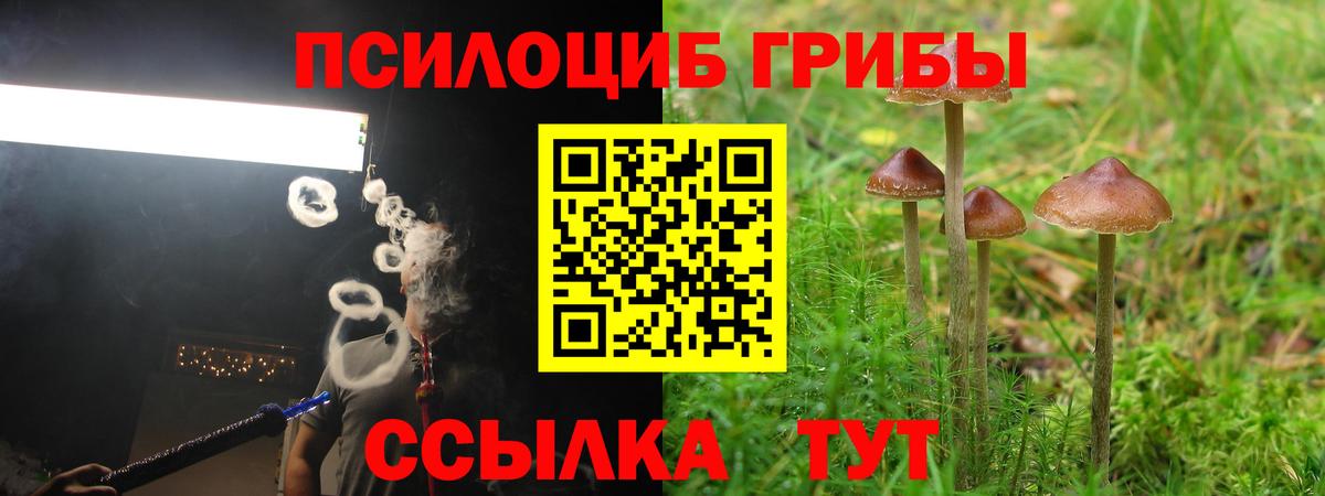Псилоцибиновые грибы Cubensis  Псилоцибиновые грибы ЛСД  Маркс  Вход с VPN 