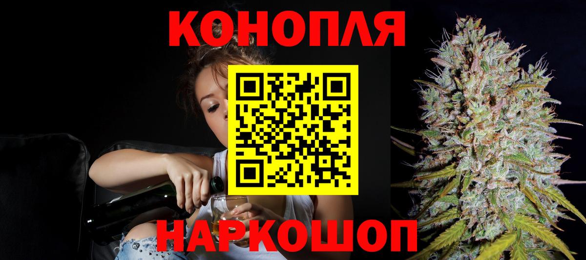 Шишки марихуана семена Маркс